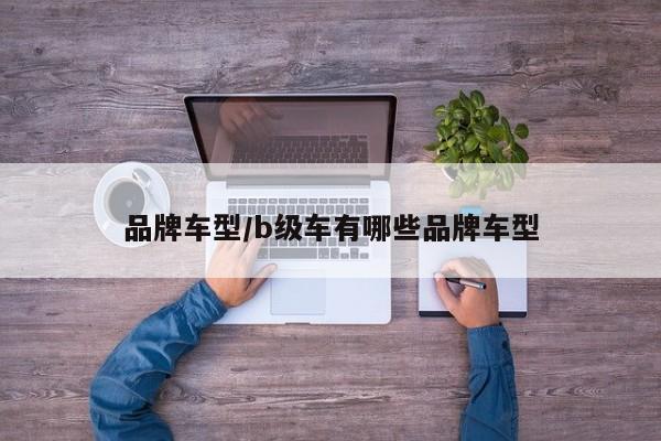 品牌车型/b级车有哪些品牌车型