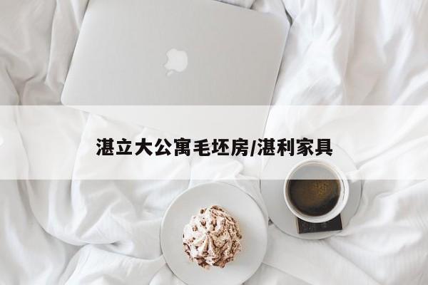 湛立大公寓毛坯房/湛利家具