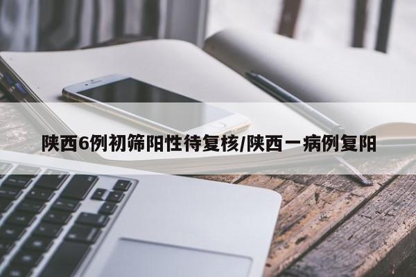 陕西6例初筛阳性待复核/陕西一病例复阳