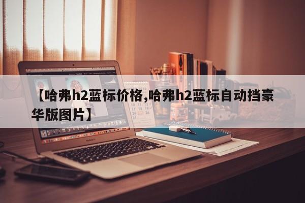 【哈弗h2蓝标价格,哈弗h2蓝标自动挡豪华版图片】