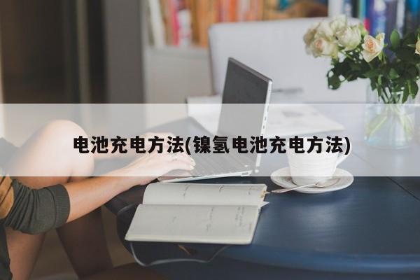 电池充电方法(镍氢电池充电方法)