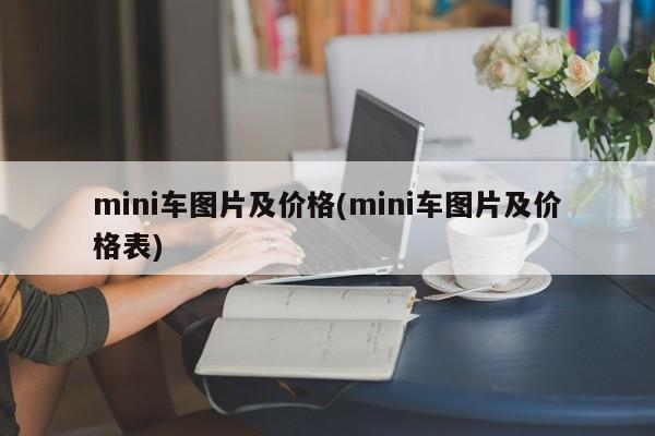 mini车图片及价格(mini车图片及价格表)