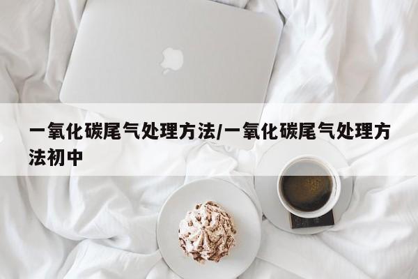 一氧化碳尾气处理方法/一氧化碳尾气处理方法初中