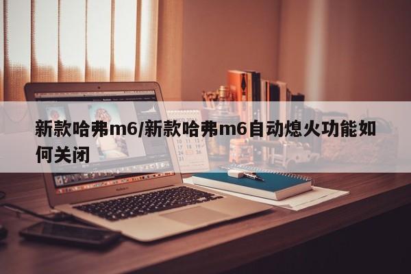 新款哈弗m6/新款哈弗m6自动熄火功能如何关闭