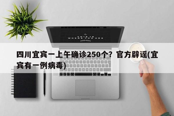 四川宜宾一上午确诊250个？官方辟谣(宜宾有一例病毒)