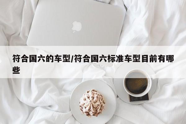 符合国六的车型/符合国六标准车型目前有哪些