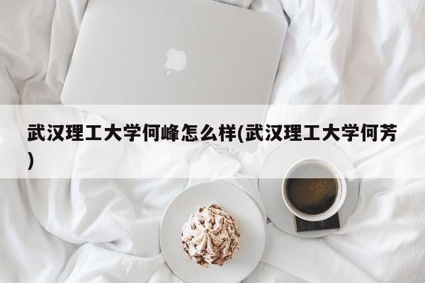 武汉理工大学何峰怎么样(武汉理工大学何芳)