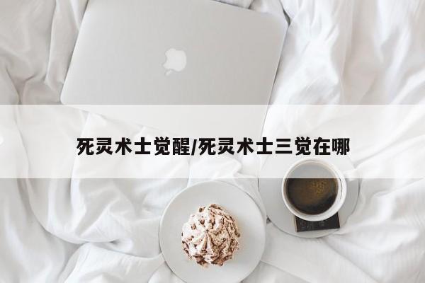 死灵术士觉醒/死灵术士三觉在哪