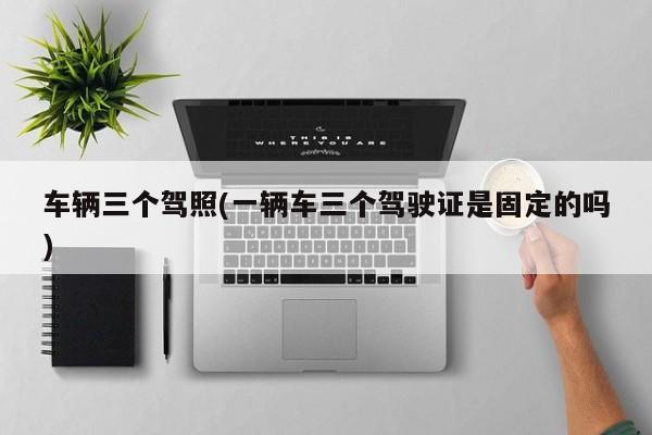 车辆三个驾照(一辆车三个驾驶证是固定的吗)