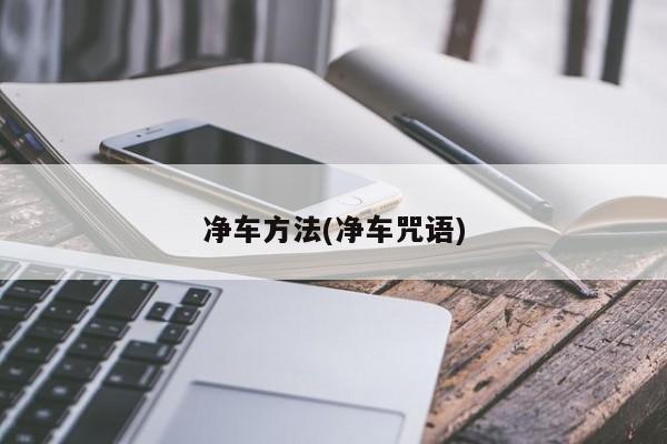 净车方法(净车咒语)