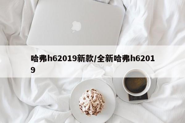 哈弗h62019新款/全新哈弗h62019