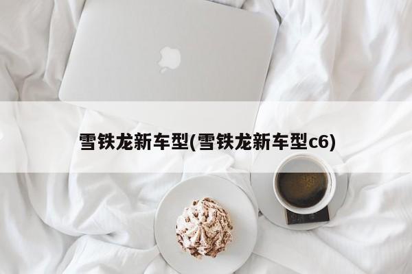 雪铁龙新车型(雪铁龙新车型c6)