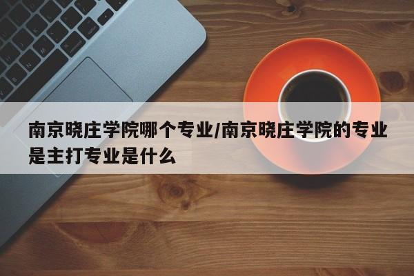 南京晓庄学院哪个专业/南京晓庄学院的专业是主打专业是什么