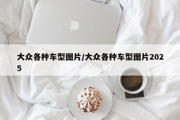 大众各种车型图片/大众各种车型图片2025