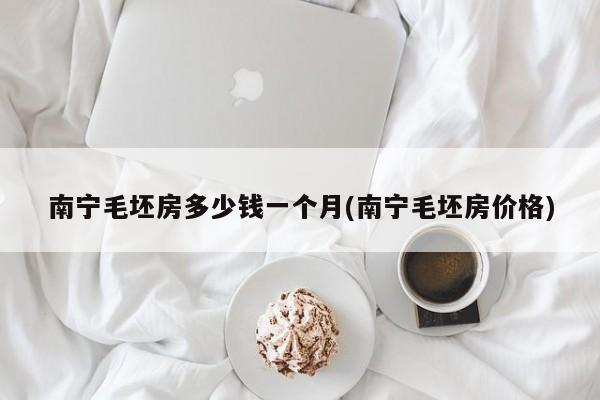 南宁毛坯房多少钱一个月(南宁毛坯房价格)
