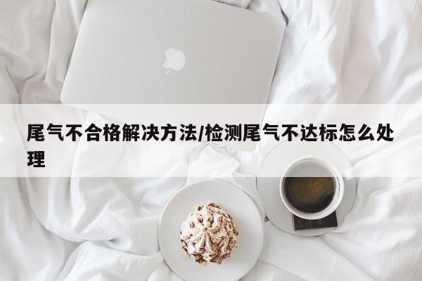尾气不合格解决方法/检测尾气不达标怎么处理