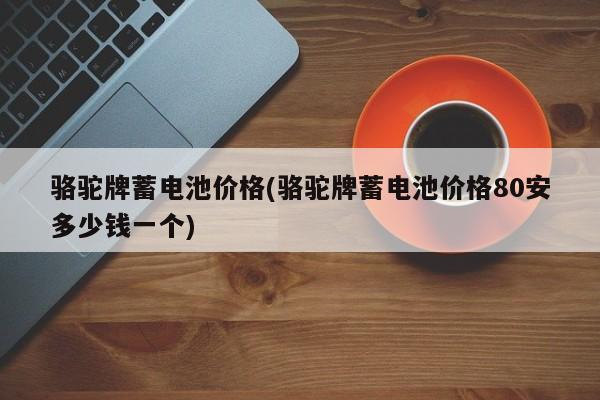 骆驼牌蓄电池价格(骆驼牌蓄电池价格80安多少钱一个)