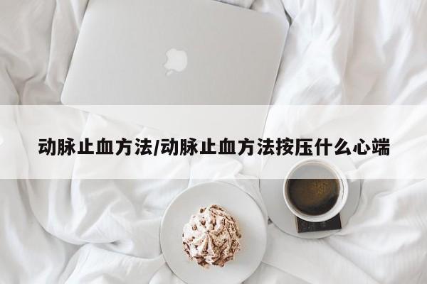 动脉止血方法/动脉止血方法按压什么心端