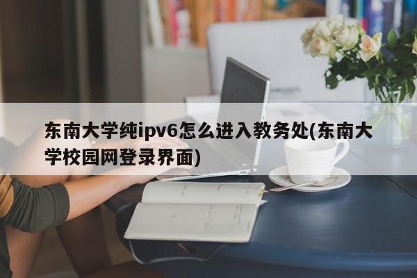 东南大学纯ipv6怎么进入教务处(东南大学校园网登录界面)