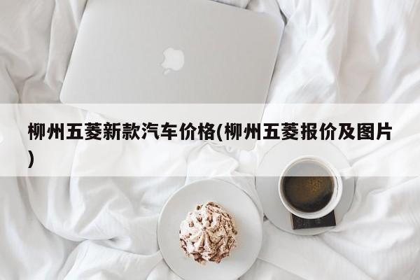 柳州五菱新款汽车价格(柳州五菱报价及图片)