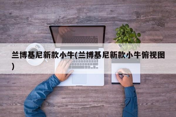 兰博基尼新款小牛(兰博基尼新款小牛俯视图)