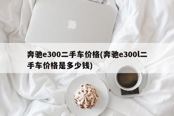 奔驰e300二手车价格(奔驰e300l二手车价格是多少钱)