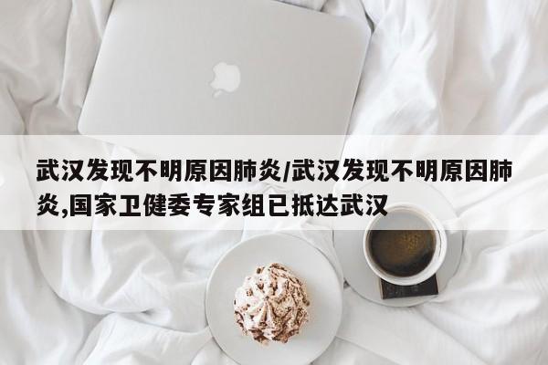 武汉发现不明原因肺炎/武汉发现不明原因肺炎,国家卫健委专家组已抵达武汉