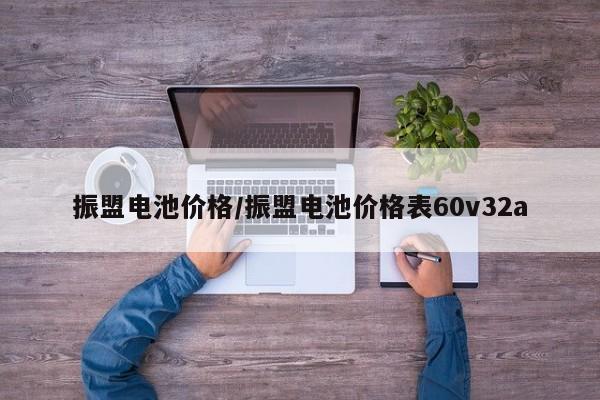 振盟电池价格/振盟电池价格表60v32a