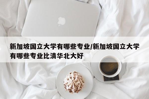 新加坡国立大学有哪些专业/新加坡国立大学有哪些专业比清华北大好