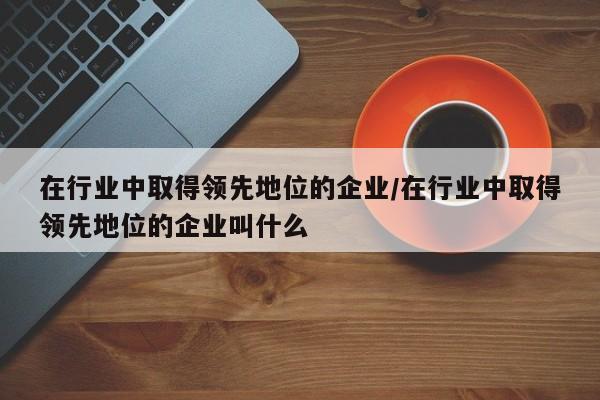 在行业中取得领先地位的企业/在行业中取得领先地位的企业叫什么